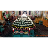 济南殡仪车电话是多少 灵车服务电话